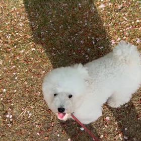 今日のニコ♪動画の画像