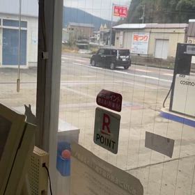 わ、イノシシの画像