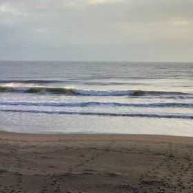 2月20日千葉北、東浪見の朝の波の画像