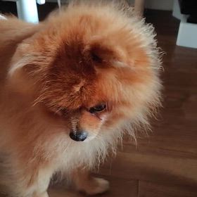 2025年10月１５日水曜日の画像