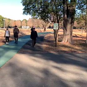 県駅伝最終調整④の画像