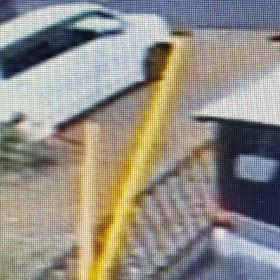 草抜いて後ろへポイ捨て！Σ('◉⌓◉’)の画像