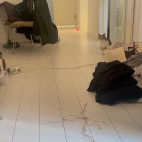 おはようの画像