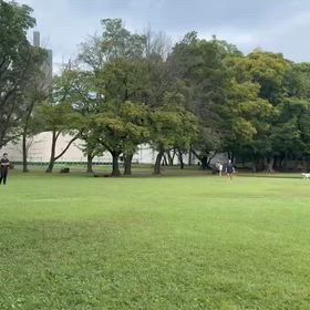 ジャベ練習(大会向け)③の画像