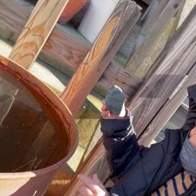 高幡不動の画像