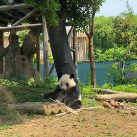 辞める準備の画像