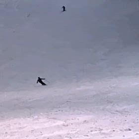 スキーはスケーテイングの画像