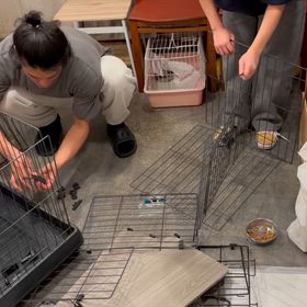 組み立て。の画像