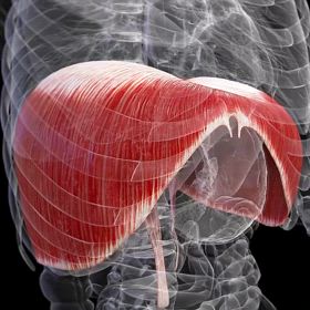 最大腹式呼吸を心がけましょう！！の画像