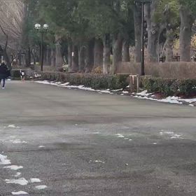 リレー選考会（男子）ゴール付近⑰の画像