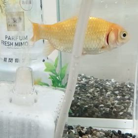 終わった～の画像