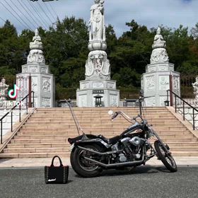 彼岸花の咲く季節の画像