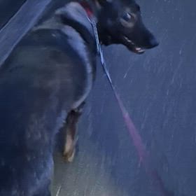 反応〜♬.*ﾟの画像