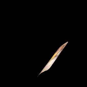 瀬古パーティでしたの画像