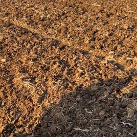 雪が降る前にの画像