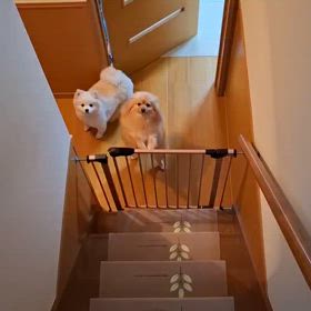 お兄ちゃんおはよー♫の画像