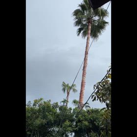 騒動には一切触れずドジャース・ゲームは始まるの画像