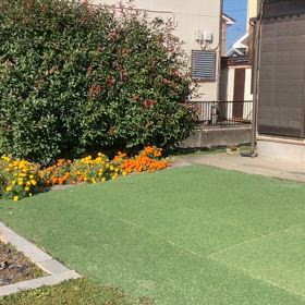 2024/11/09今週のハナの画像