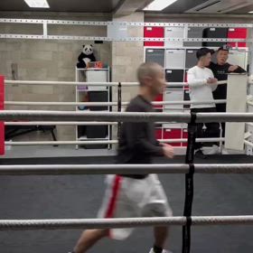 体を張って宣伝の画像