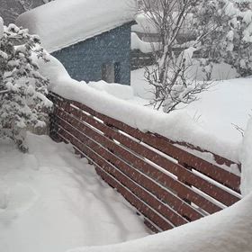 災害級の大雪！の画像