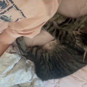 不思議な合致の画像