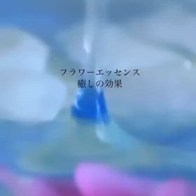 フラワーエッセンスの効果の画像
