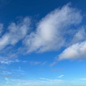 本当に？の画像