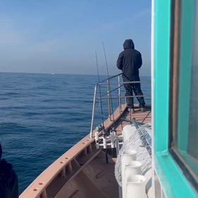 厳しい。。。の画像