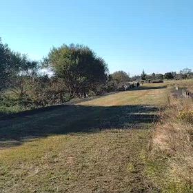 ハイレベルコース500インターバル③の画像