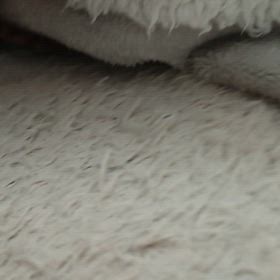 いないと思ったらの画像