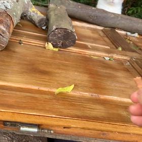 ［速報］　白ちゃん陥落の画像