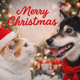 MerryXmas。の画像