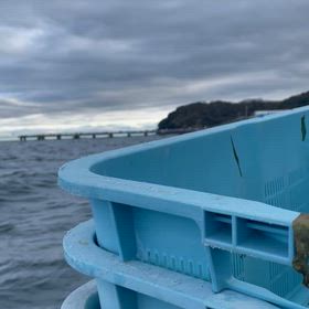 出船予定の画像