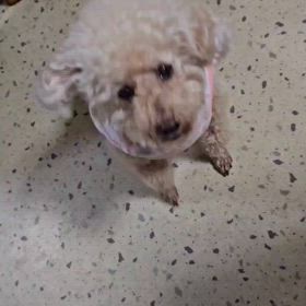 最近のママさんの画像