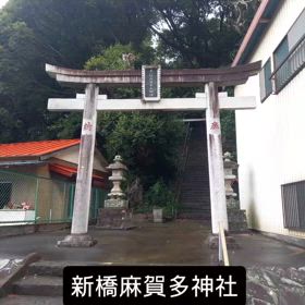2025/08/02の画像