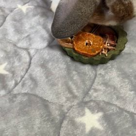 オーツヘイのケーキの画像