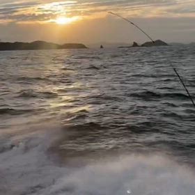 休日の過ごし方に選んで頂きました！の画像