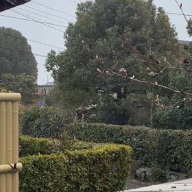 豊かさとは…の画像