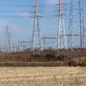 きっと良い年となりそうです！の画像