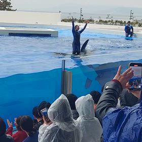 今日は、二回公演観れました＼(^^)／の画像