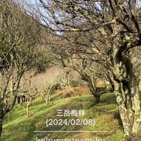 2024/02/08の画像