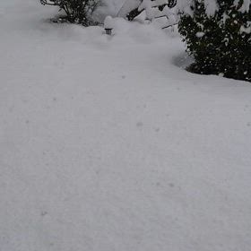 雪の画像