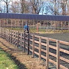 ウインマスカレード、ダクから左回りチェックの画像