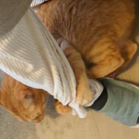 うみとやま1960日目（生後5年5ヶ月26日）の画像