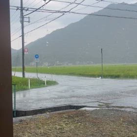 と、油断してたらの画像