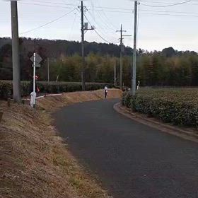 駅伝（坂頂点）⑤の画像