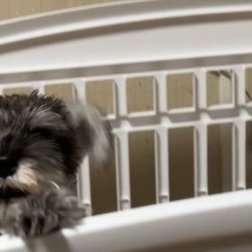 ただいま～の画像