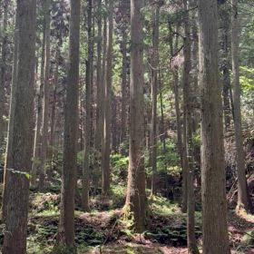 水を飲んでるとこ想像したらの画像