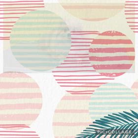 DOGXDOG ひなちゃんの画像