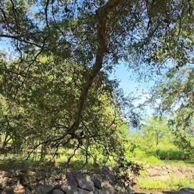 風を感じていての画像